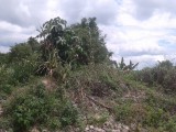 Lot 188 Industry PenRetreatPhase 2, St. Ann, Jamaica - Residential lot for Sale